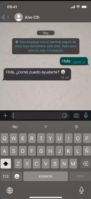 Example of interaction flow to check balance